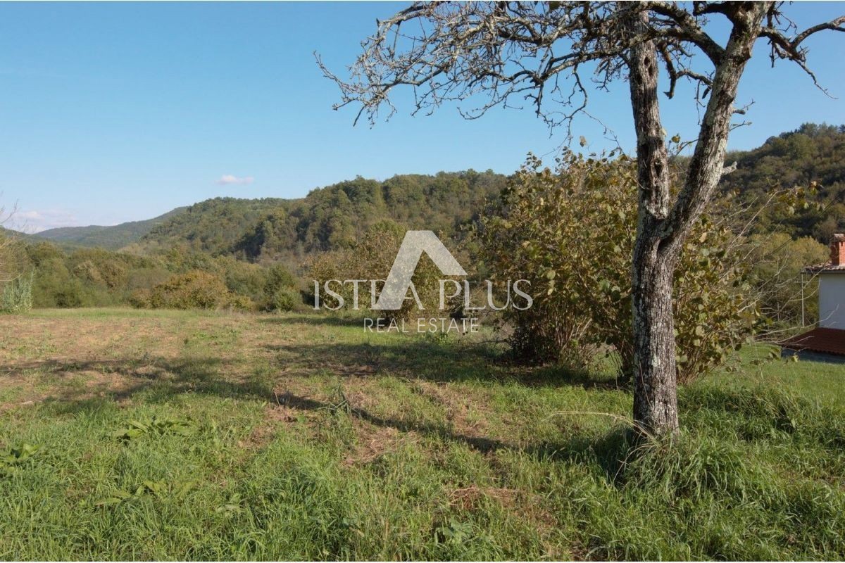 DINTORNI MOTOVUN - TERRENO EDIFICABILE CON PROGETTO CONCETTUALE IN VENDITA