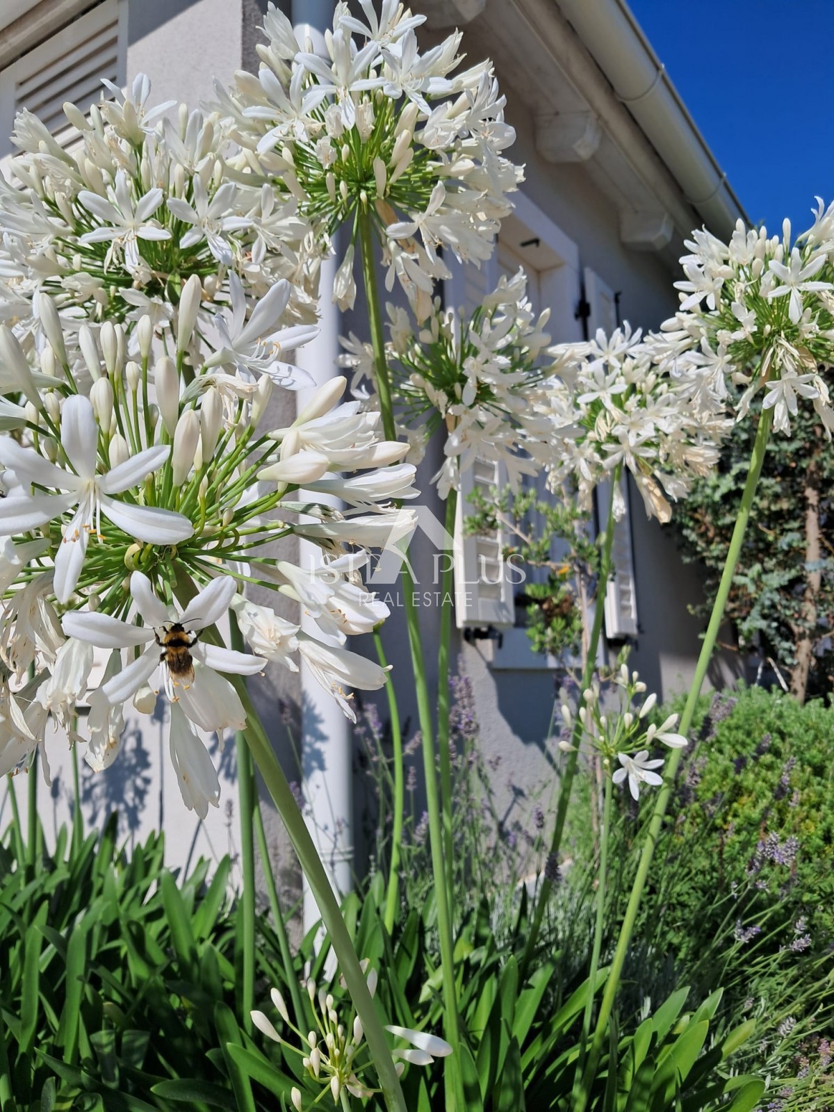 Esclusiva! Una villa unica che coniuga qualità, funzionalità e posizione con vista aperta sul mare.