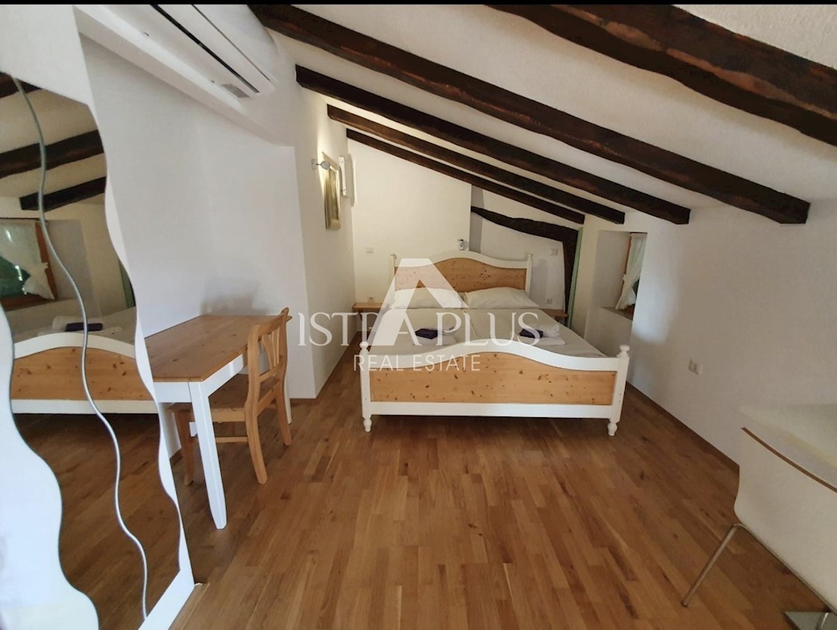 Casa in pietra con piscina + appartamento, Vista al Montona