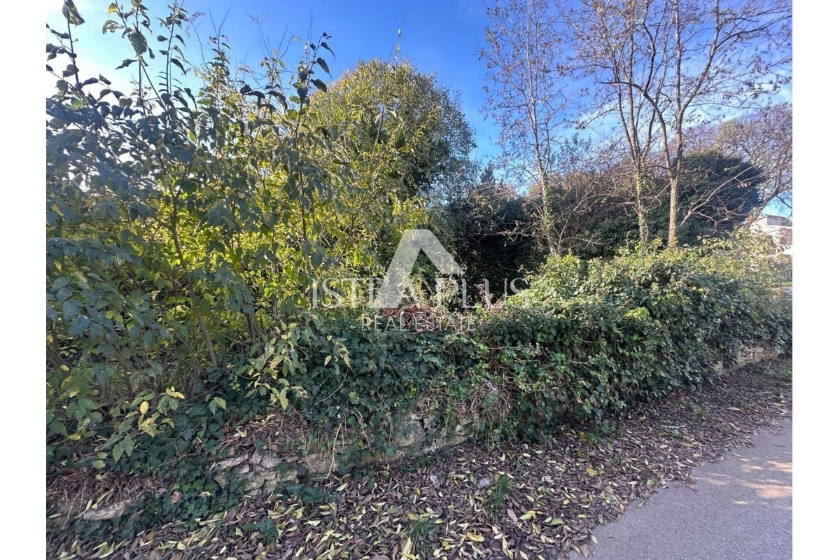Istria, Tar-Vabriga - due case in pietra da ristrutturare su un grande terreno edificabile con potenziale di investimento