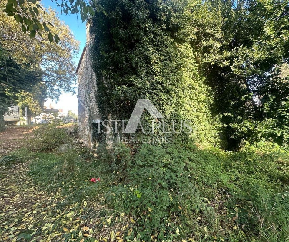 Istria, Tar-Vabriga - due case in pietra da ristrutturare su un grande terreno edificabile con potenziale di investimento
