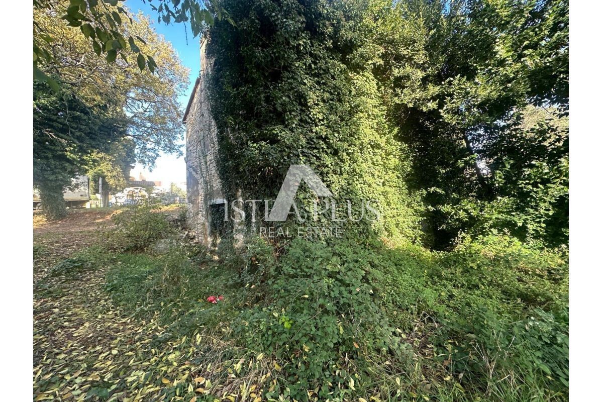 Istria, Tar-Vabriga - due case in pietra da ristrutturare su un grande terreno edificabile con potenziale di investimento