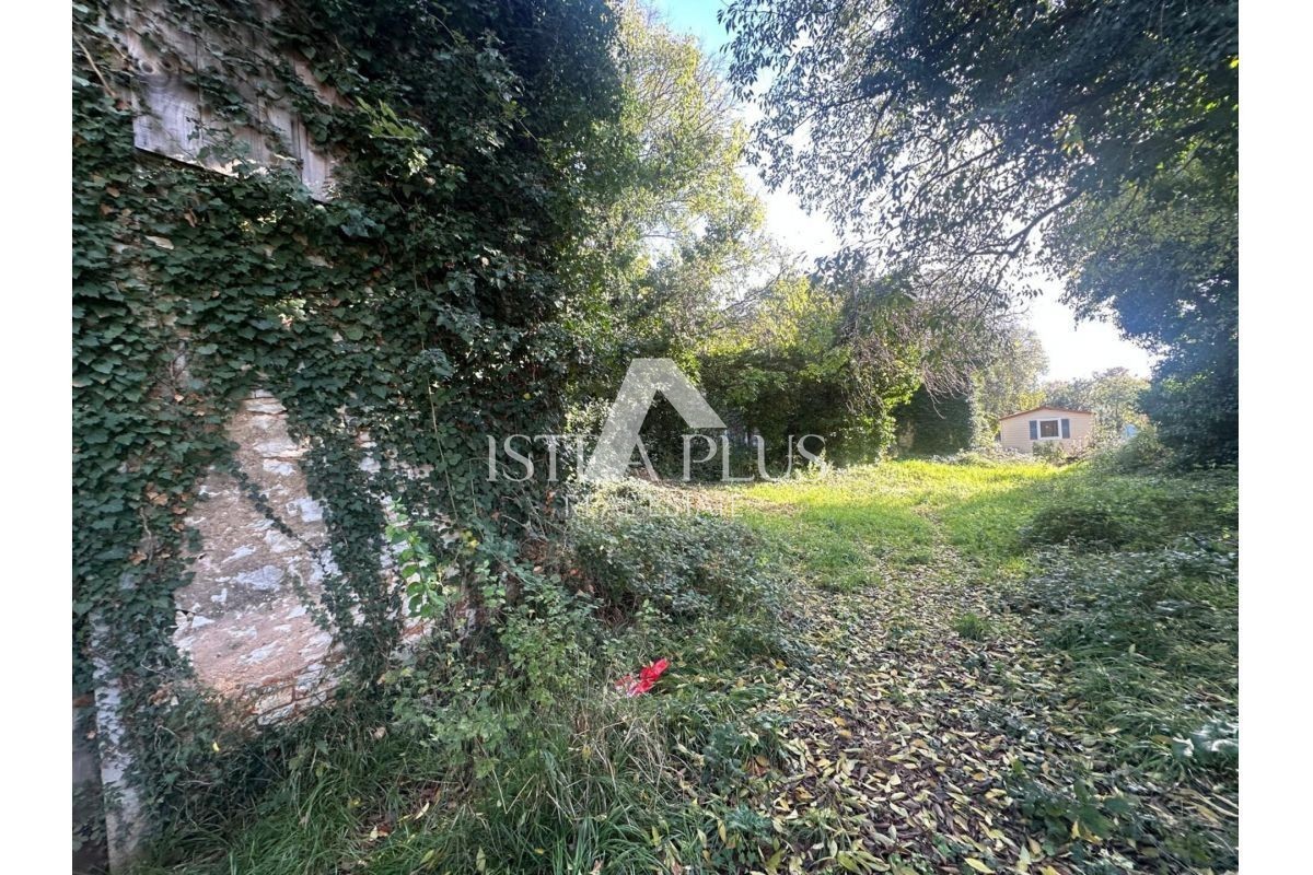 Istria, Tar-Vabriga - due case in pietra da ristrutturare su un grande terreno edificabile con potenziale di investimento