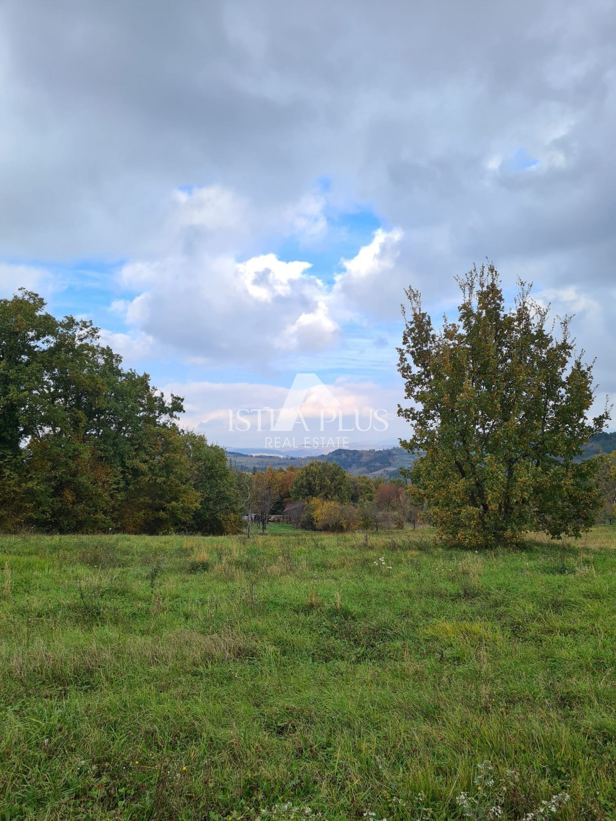 Terreno edificabile con progetto, circondato da natura incontaminata