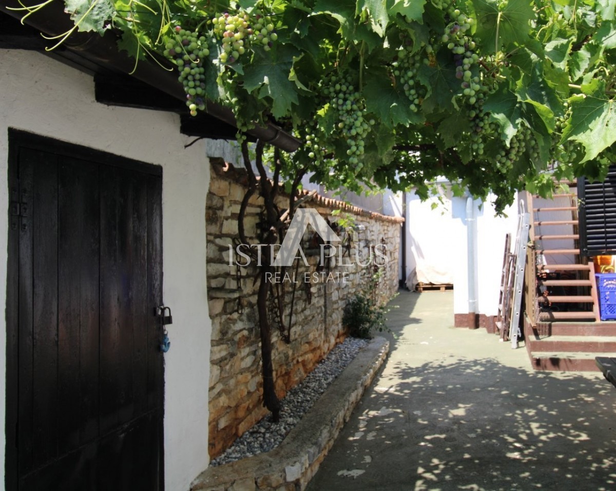 Tar, Vabriga - Bella casa familiare a un piano a 1 km dal mare