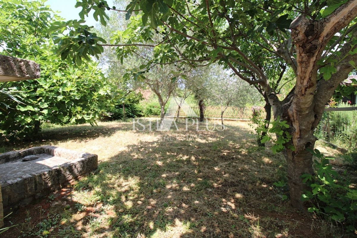 Offerta esclusiva dall'agenzia - Bellissima casa familiare in un tranquillo sobborgo di Parenzo