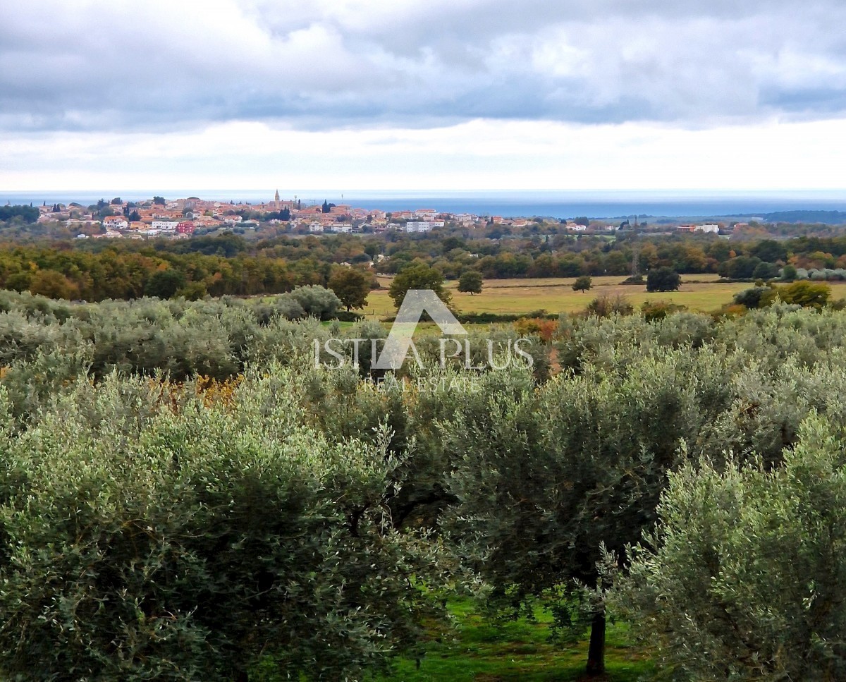 OPPORTUNITÀ! Bellissimo, ampio appartamento con cortile - vista panoramica sul mare!!