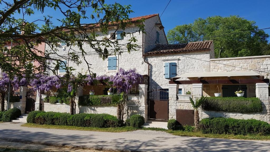 Rovigno, dintorni, villa in pietra con piscina