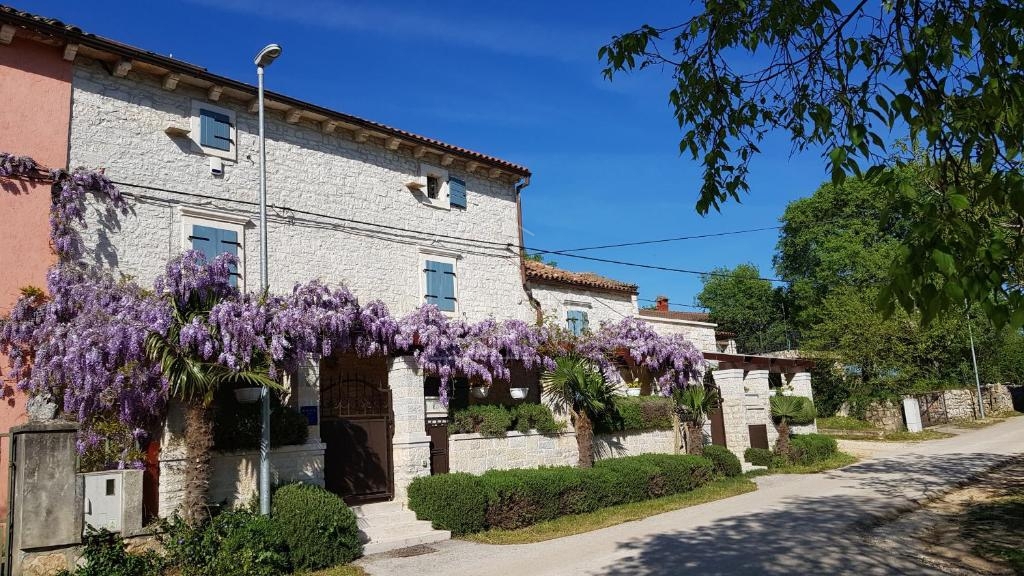 Rovigno, dintorni, villa in pietra con piscina