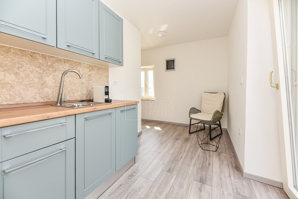 Svetvinčenat, dintorni, casa antica modernamente ristrutturata con piscina