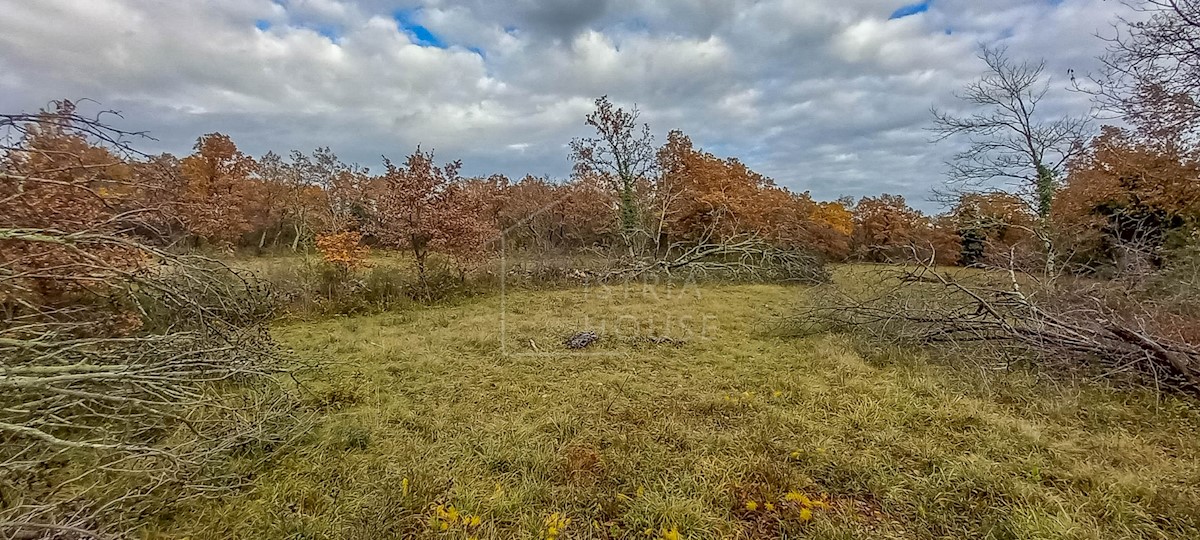 Grisignana, dintorni, terreno in posizione tranquilla