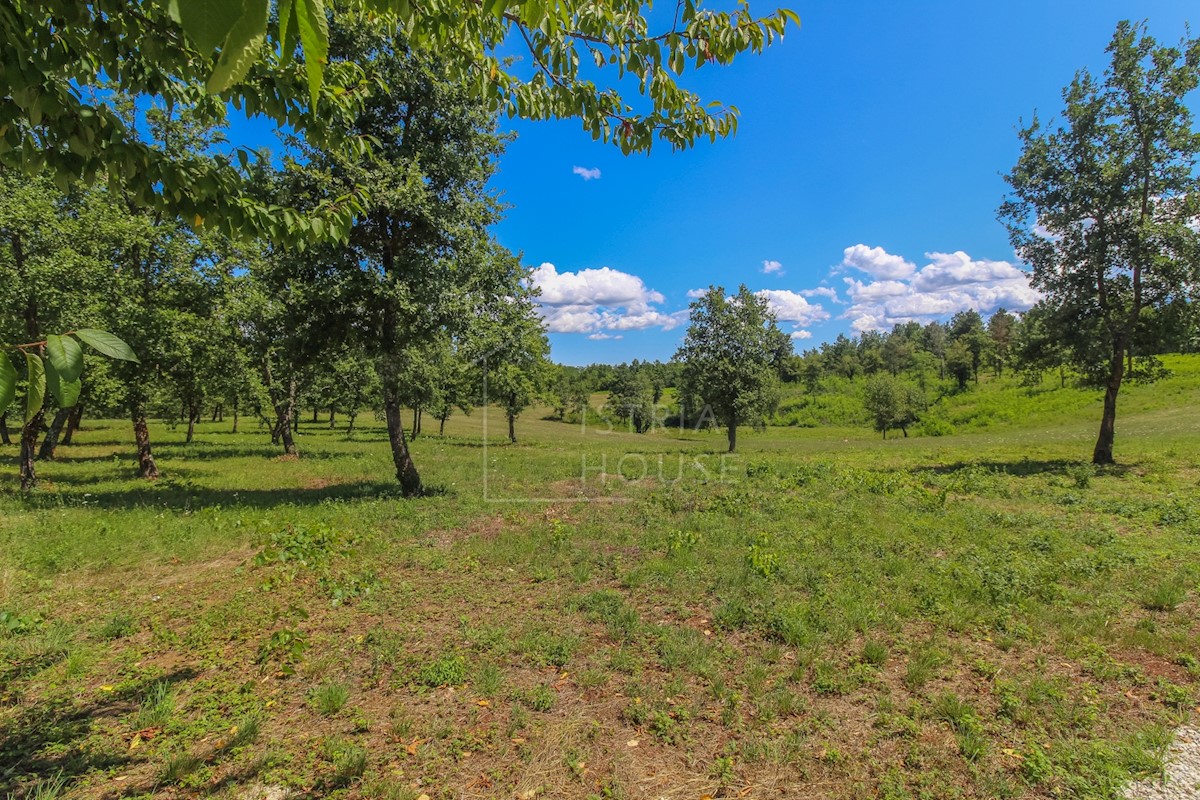 Poreč, dintorni, terreno ai margini della zona edificabile