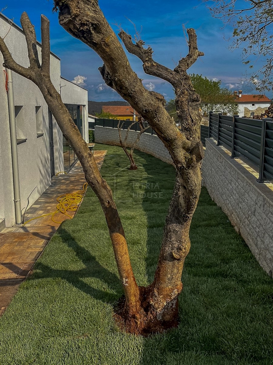 Rovigno, dintorni, villa moderna in un ambiente tranquillo