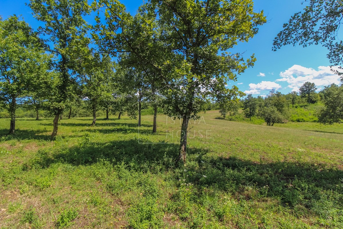 Poreč, dintorni, terreno ai margini della zona edificabile