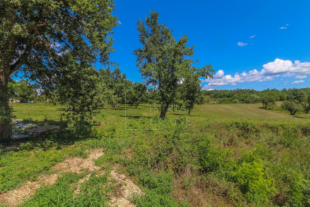 Poreč, dintorni, terreno ai margini della zona edificabile