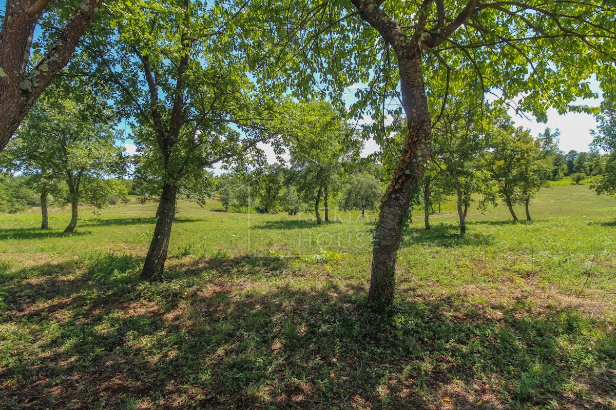 Poreč, dintorni, terreno ai margini della zona edificabile