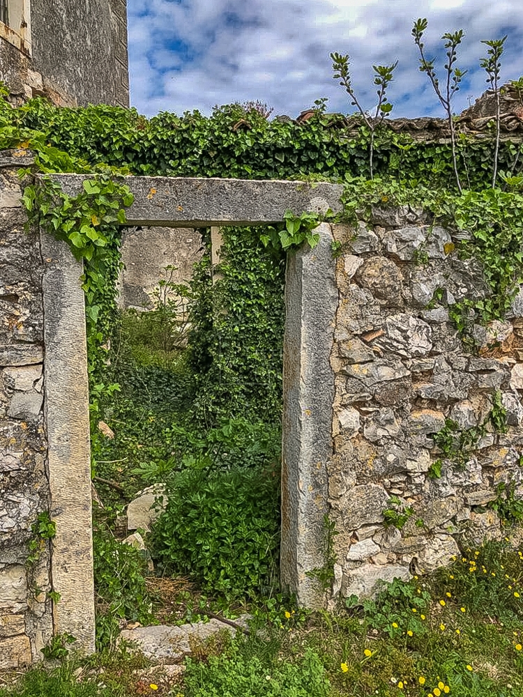 Barban, dintorni, antico con vista mare