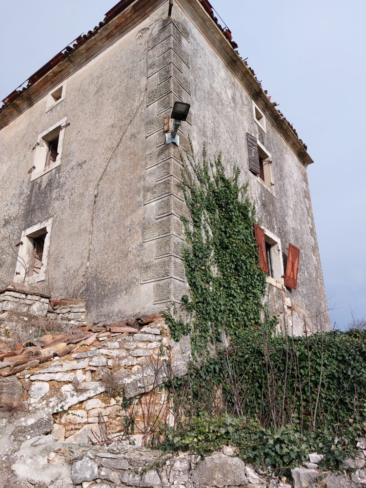 Barban, dintorni, antico con vista mare