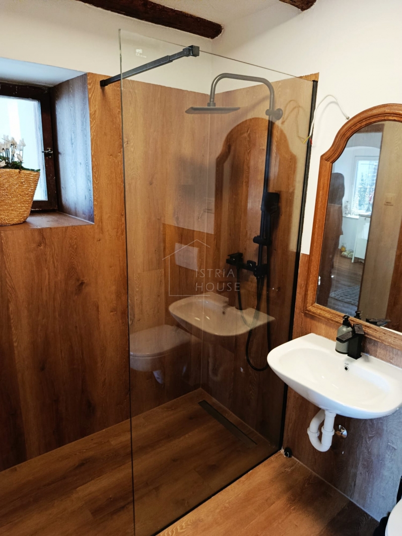 Svetvinčenat, dintorni, casa bifamiliare con cortile