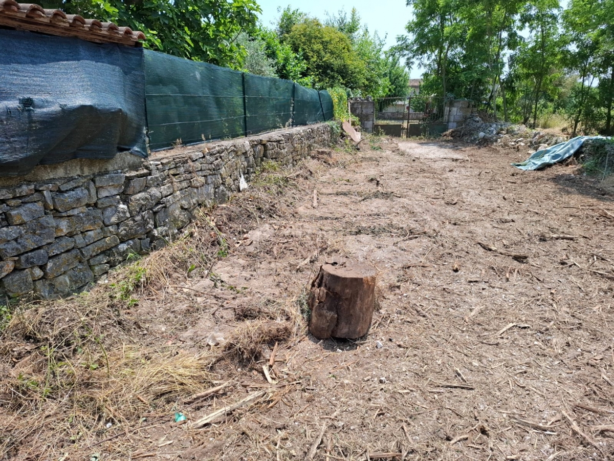 Bale, dintorni, casa da ristrutturare con ampio terreno