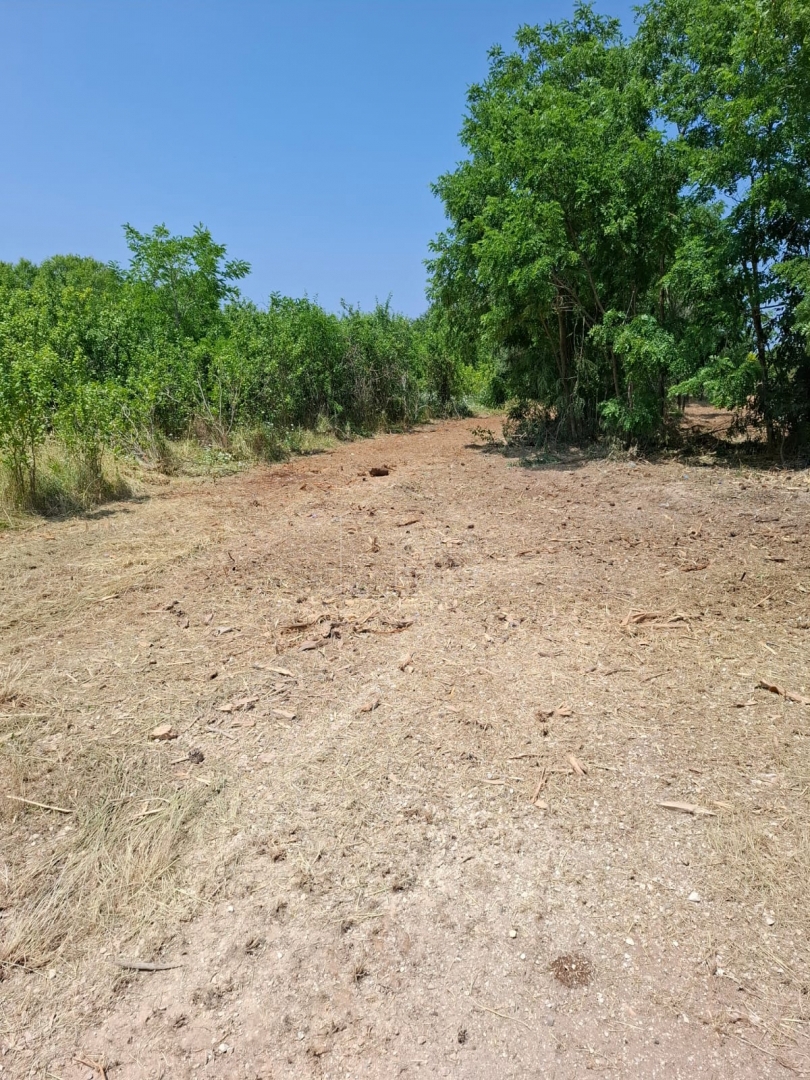 Bale, dintorni, casa da ristrutturare con ampio terreno