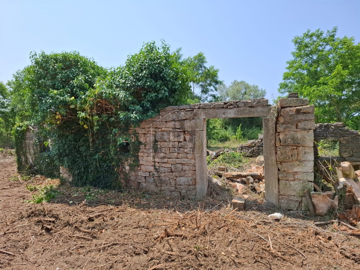 Bale, dintorni, casa da ristrutturare con ampio terreno