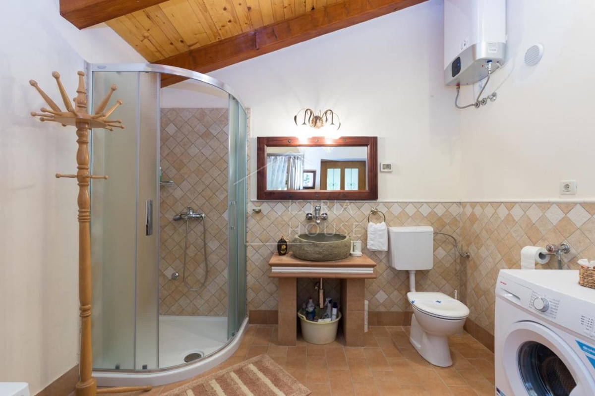 Svetvinčenat, OPPORTUNITY, Two houses with a large garden