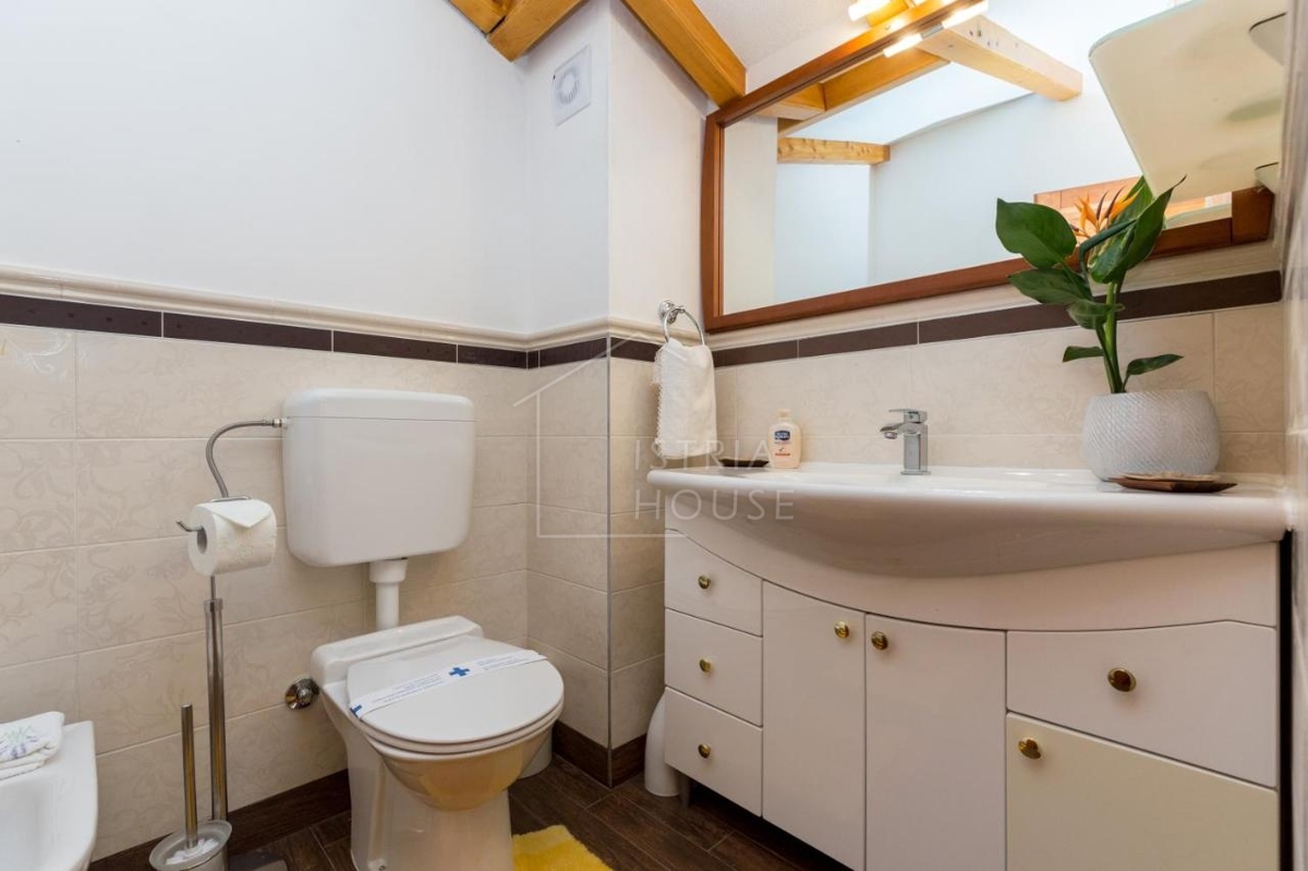 Svetvinčenat, OPPORTUNITY, Two houses with a large garden