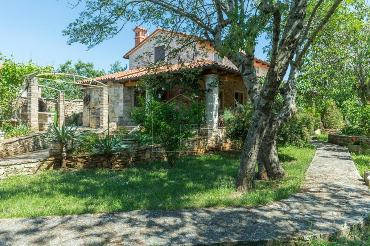 Svetvinčenat, OPPORTUNITY, Two houses with a large garden