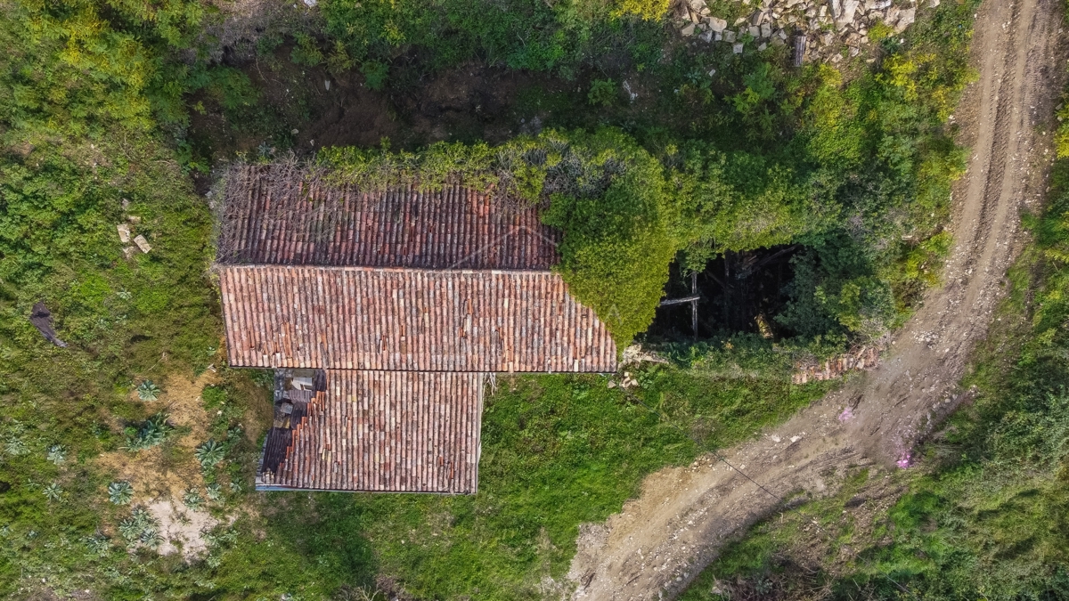 Motovun, una casa in pietra isolata con vista aperta