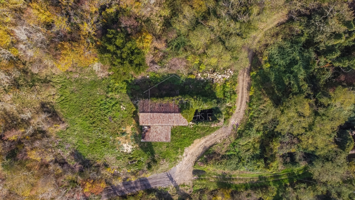 Motovun, una casa in pietra isolata con vista aperta