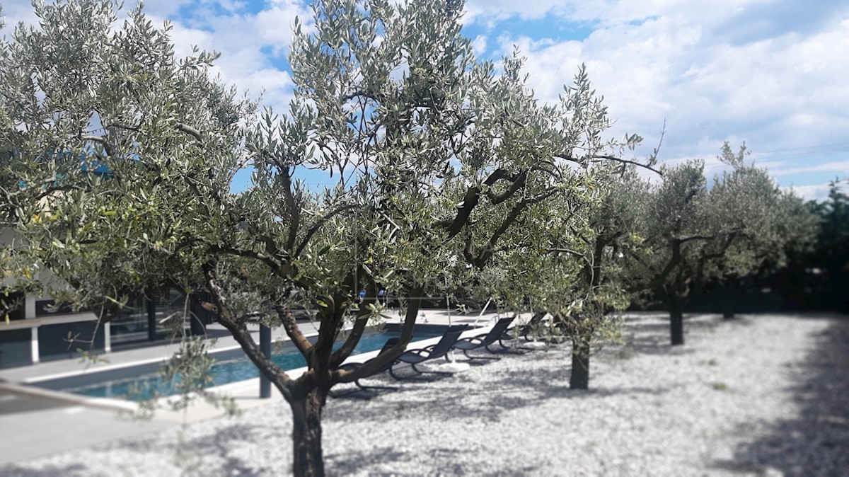 POREČ, dintorni - bella villa moderna con piscina