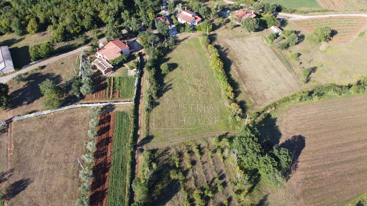 Montona, dintorni, terreno alla fine della zona edificabile