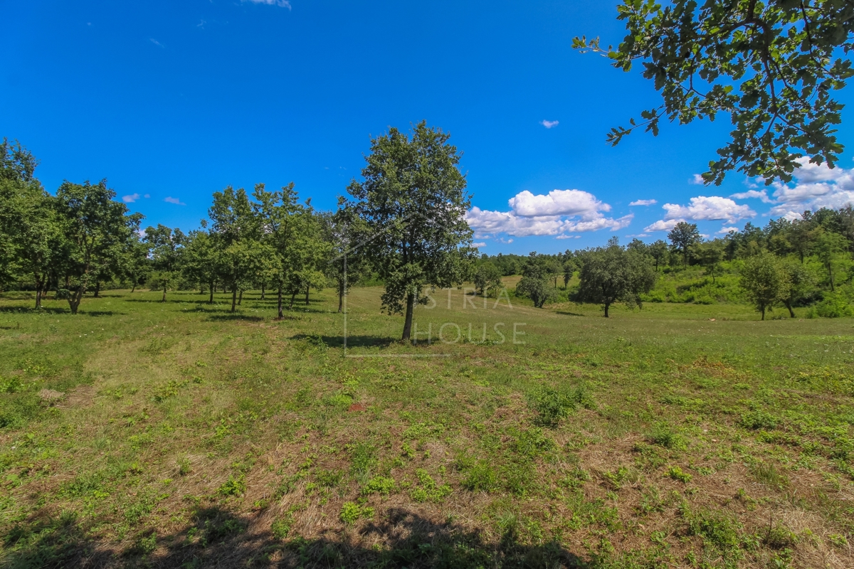Poreč, dintorni, terreno edificabile ai margini del villaggio