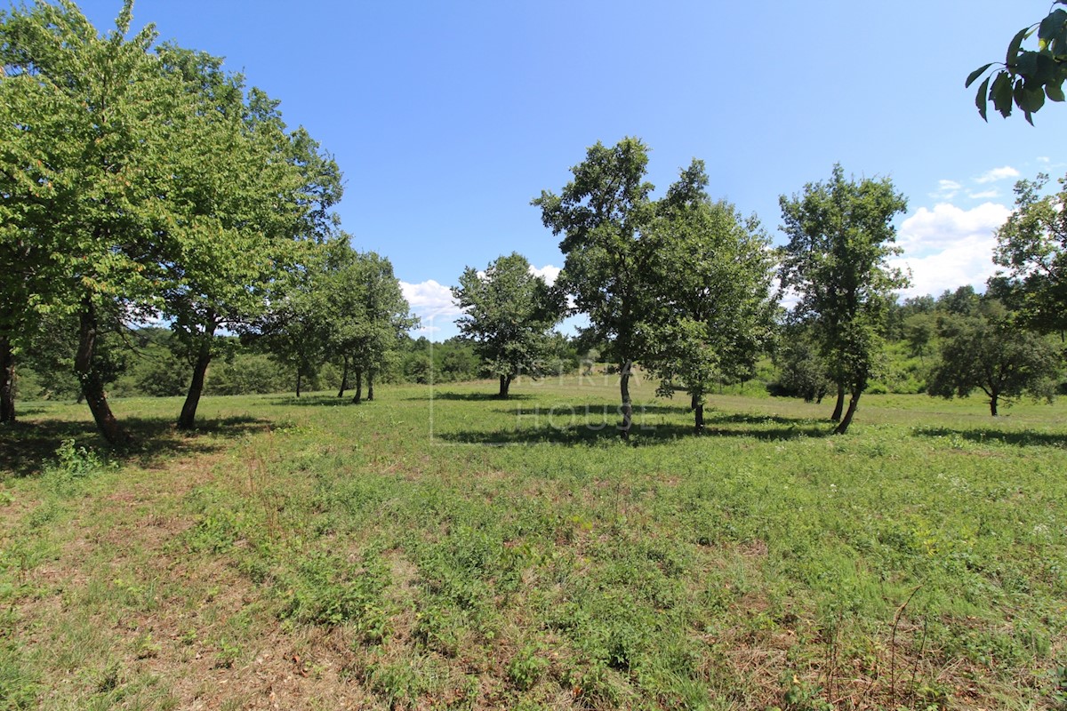 Poreč, dintorni, terreno edificabile ai margini del villaggio