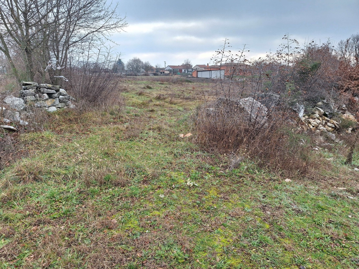 Kanfanar, surroundings, land with building permit and view