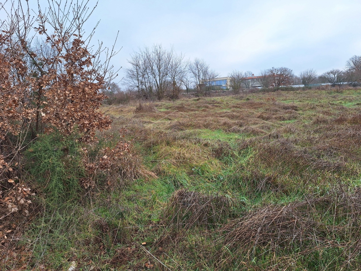 Kanfanar, surroundings, land with building permit and view