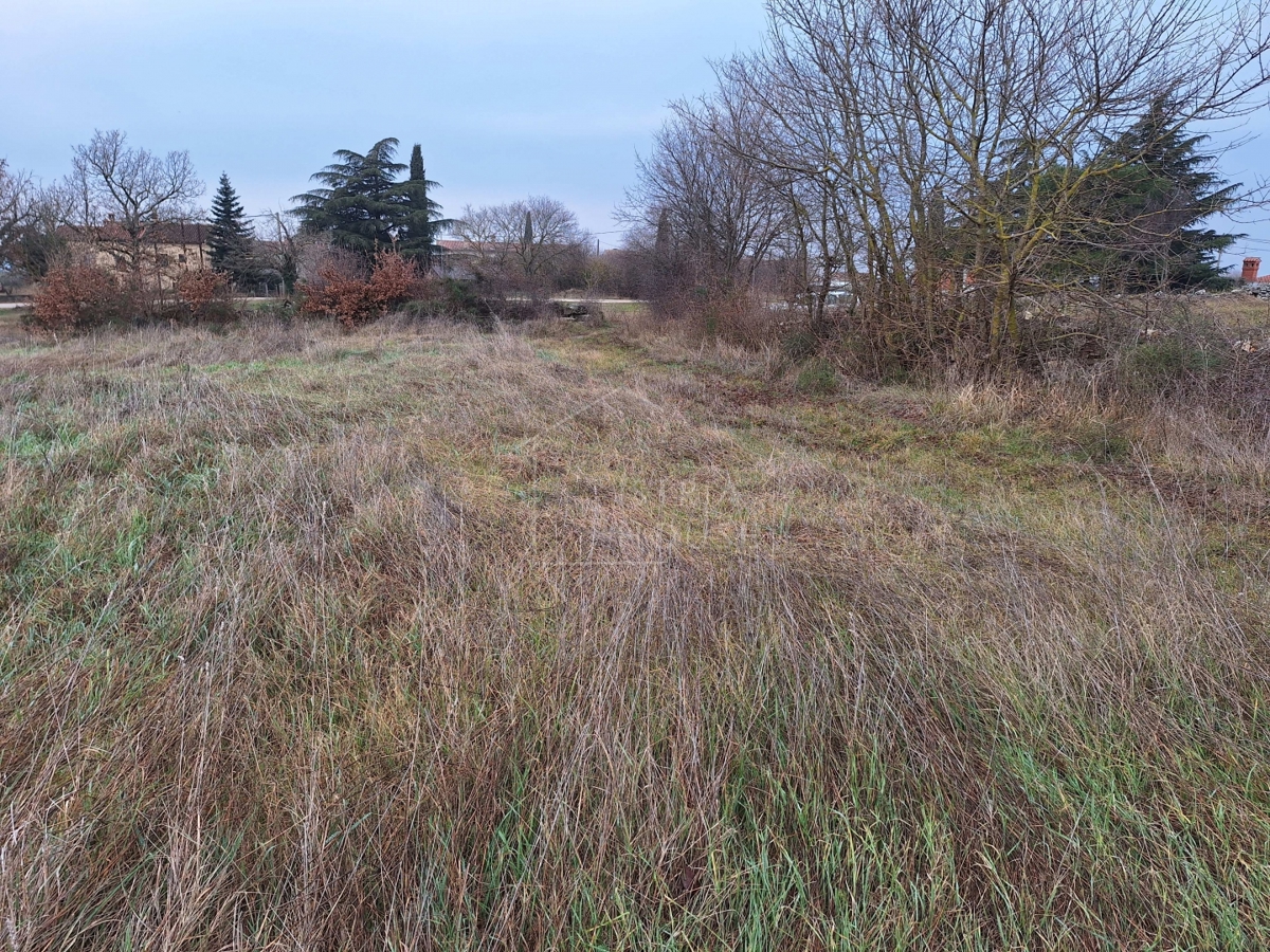 Kanfanar, surroundings, land with building permit and view