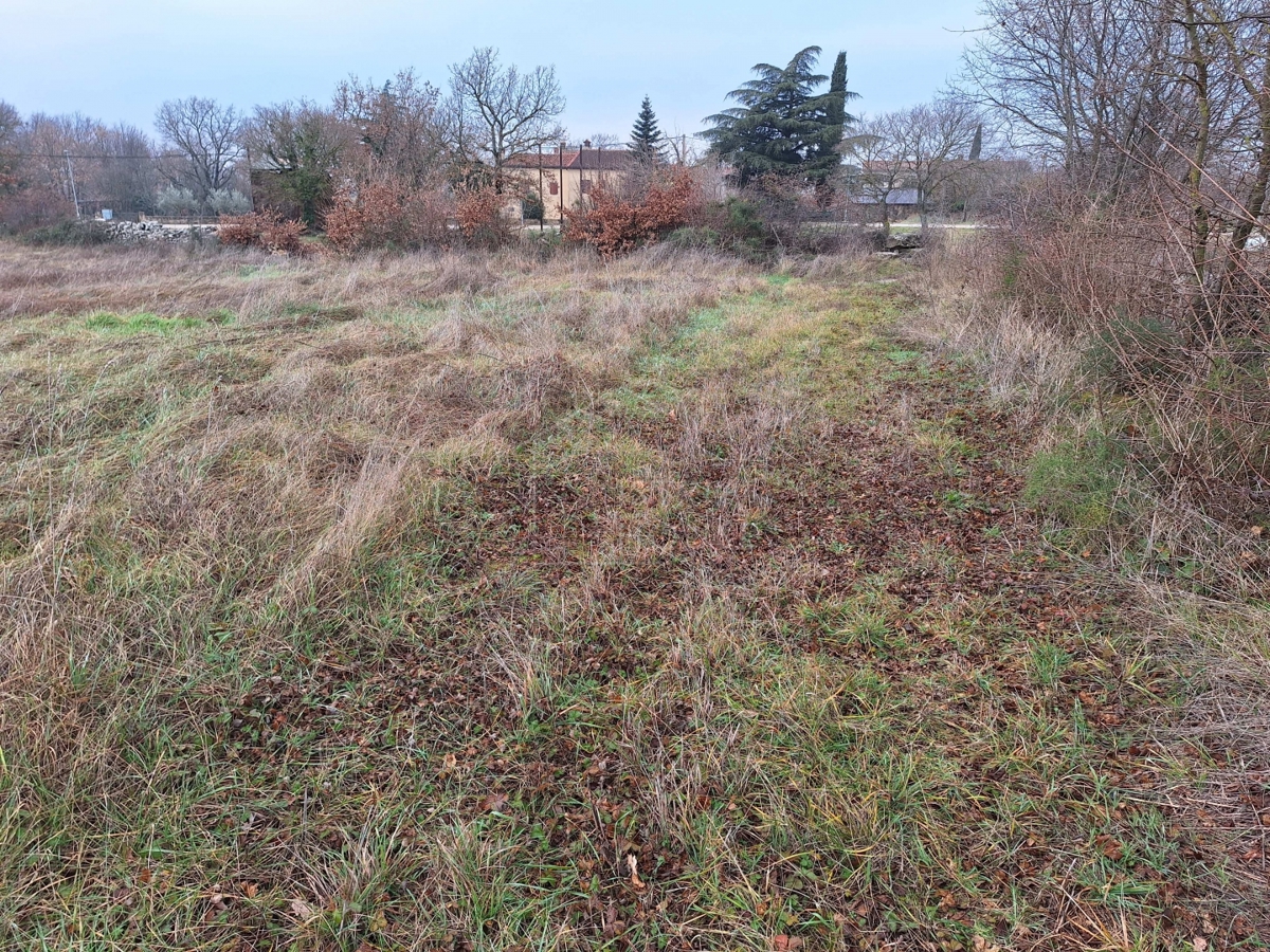Kanfanar, surroundings, land with building permit and view