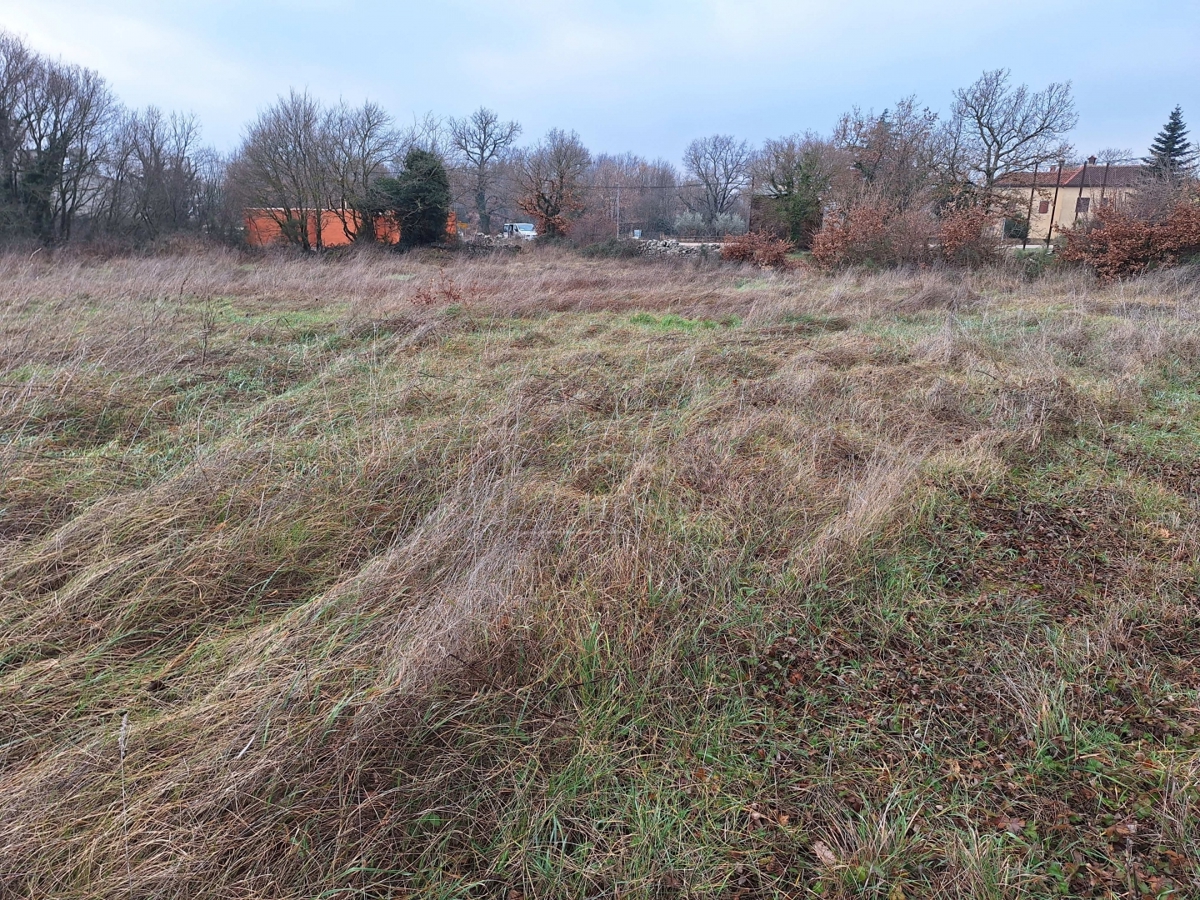 Kanfanar, surroundings, land with building permit and view