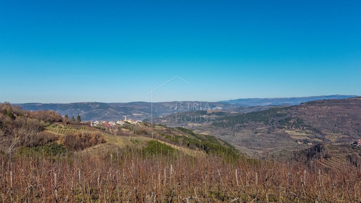 Montona, dintorni, terreno edificabile con vista