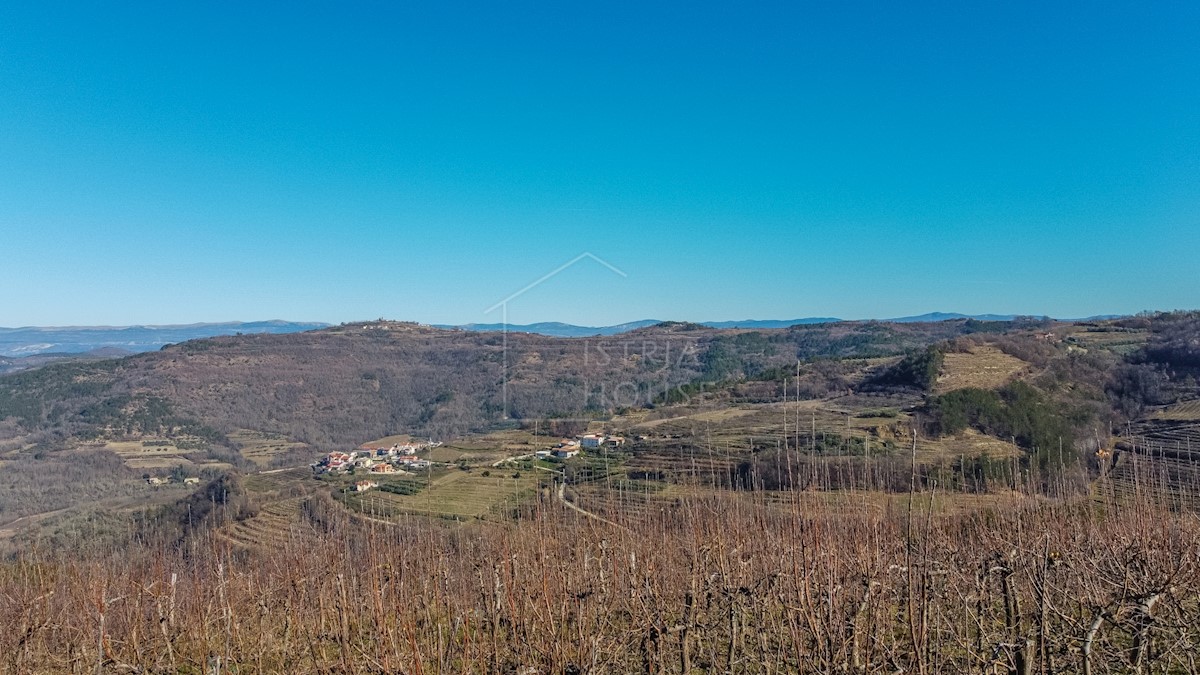 Montona, dintorni, terreno edificabile con vista