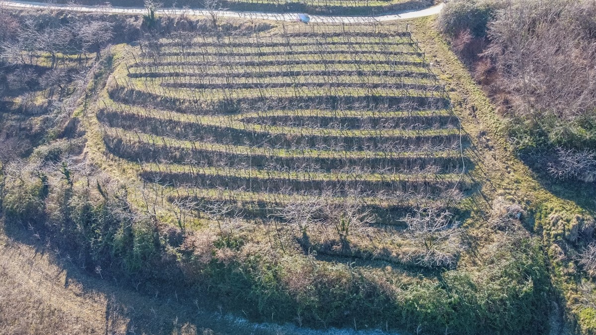 Montona, dintorni, terreno edificabile con vista