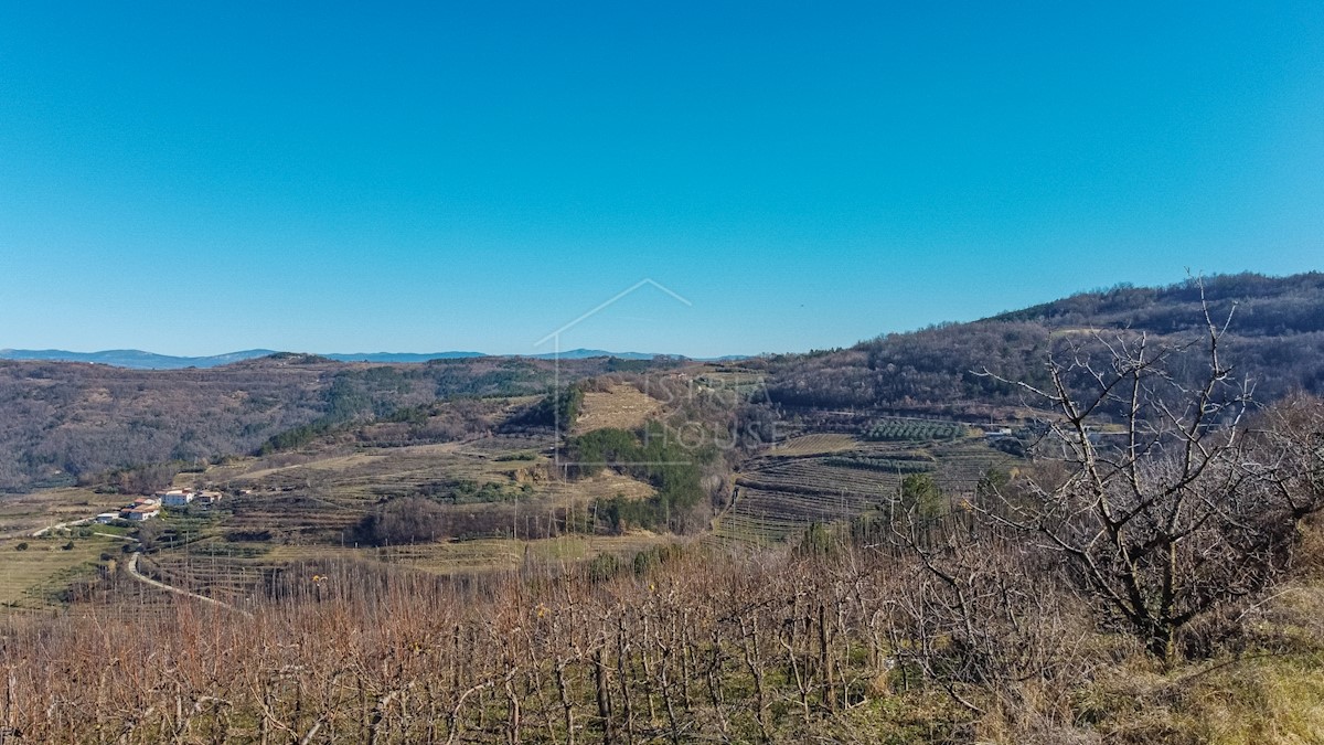 Montona, dintorni, terreno edificabile con vista