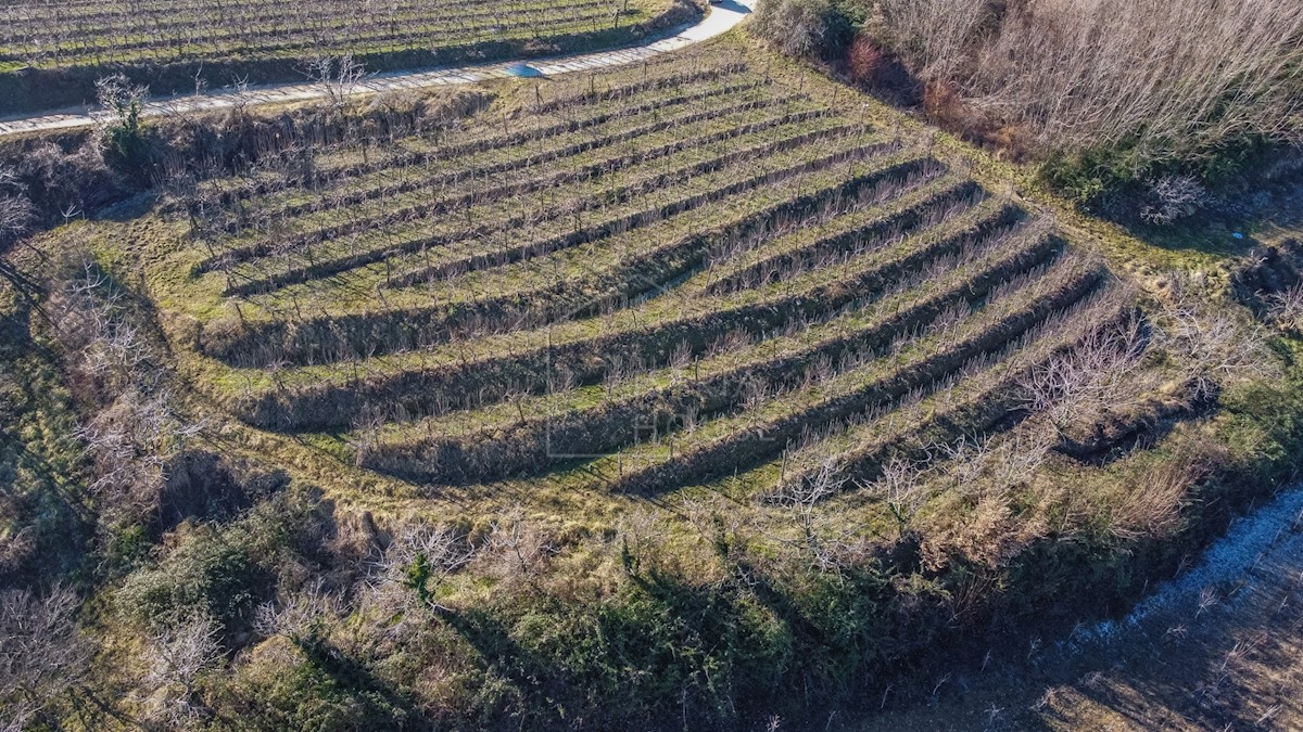 Montona, dintorni, terreno edificabile con vista