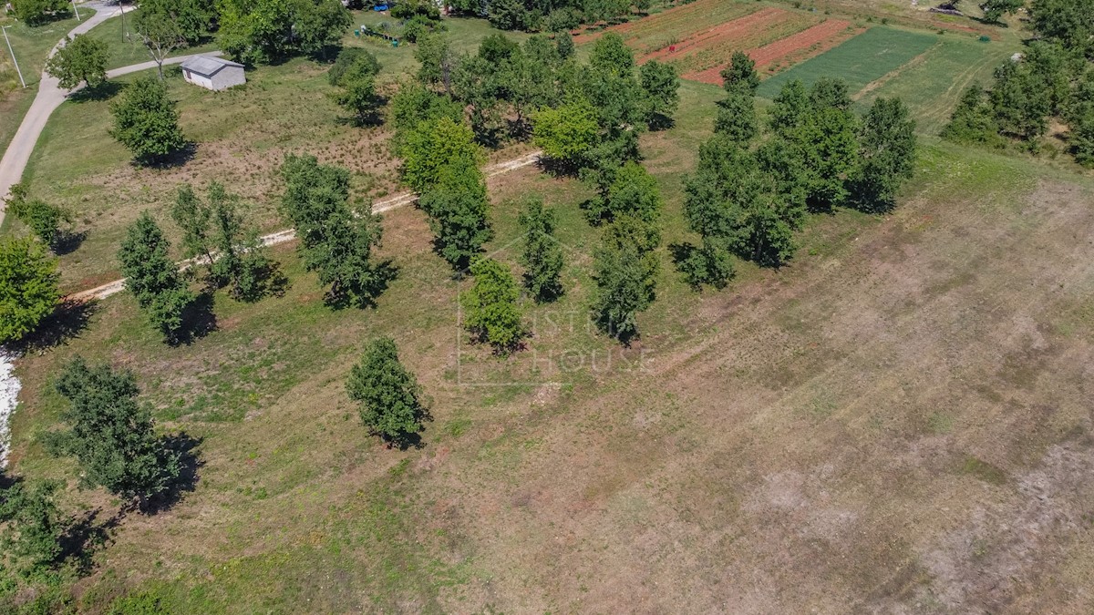 Parenzo, dintorni, terreno edificabile in un ambiente tranquillo