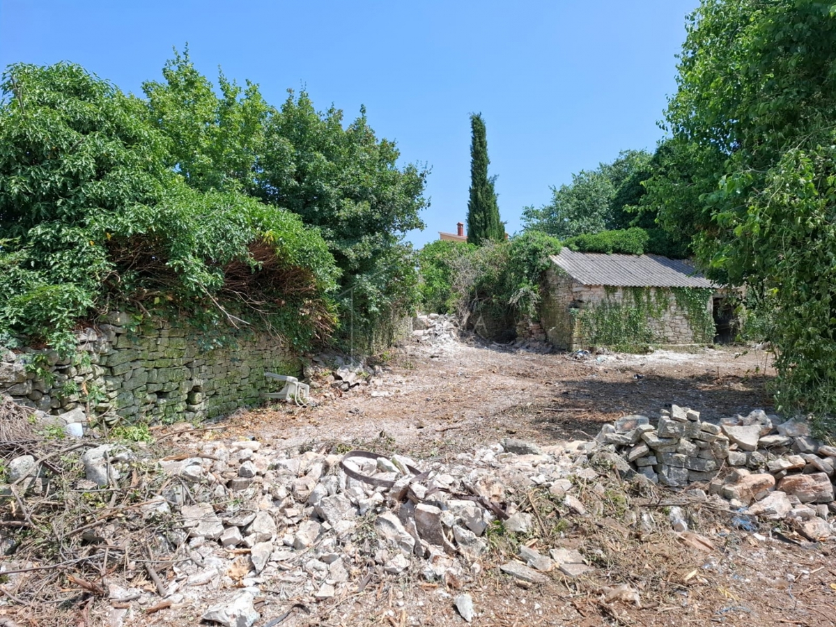 Bale, dintorni, grande appezzamento di terreno con casa da ristrutturare