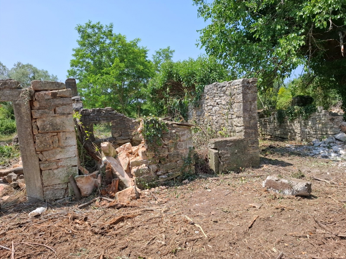 Bale, dintorni, grande appezzamento di terreno con casa da ristrutturare