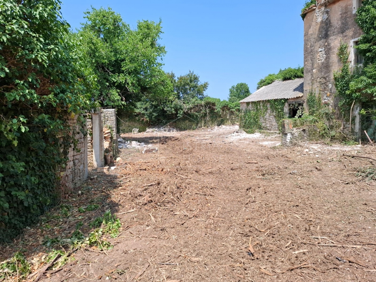 Bale, dintorni, grande appezzamento di terreno con casa da ristrutturare