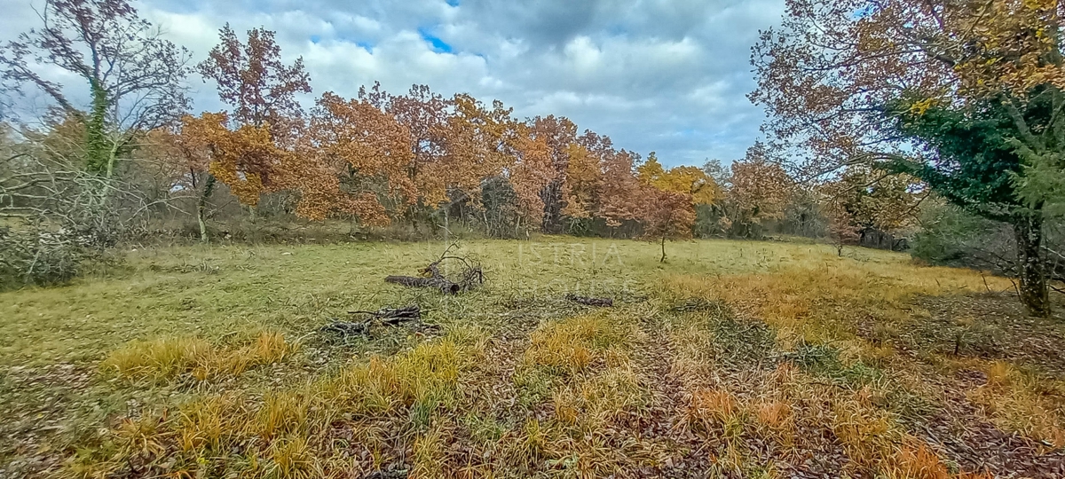 Grisignana, dintorni, terreno ai margini del villaggio